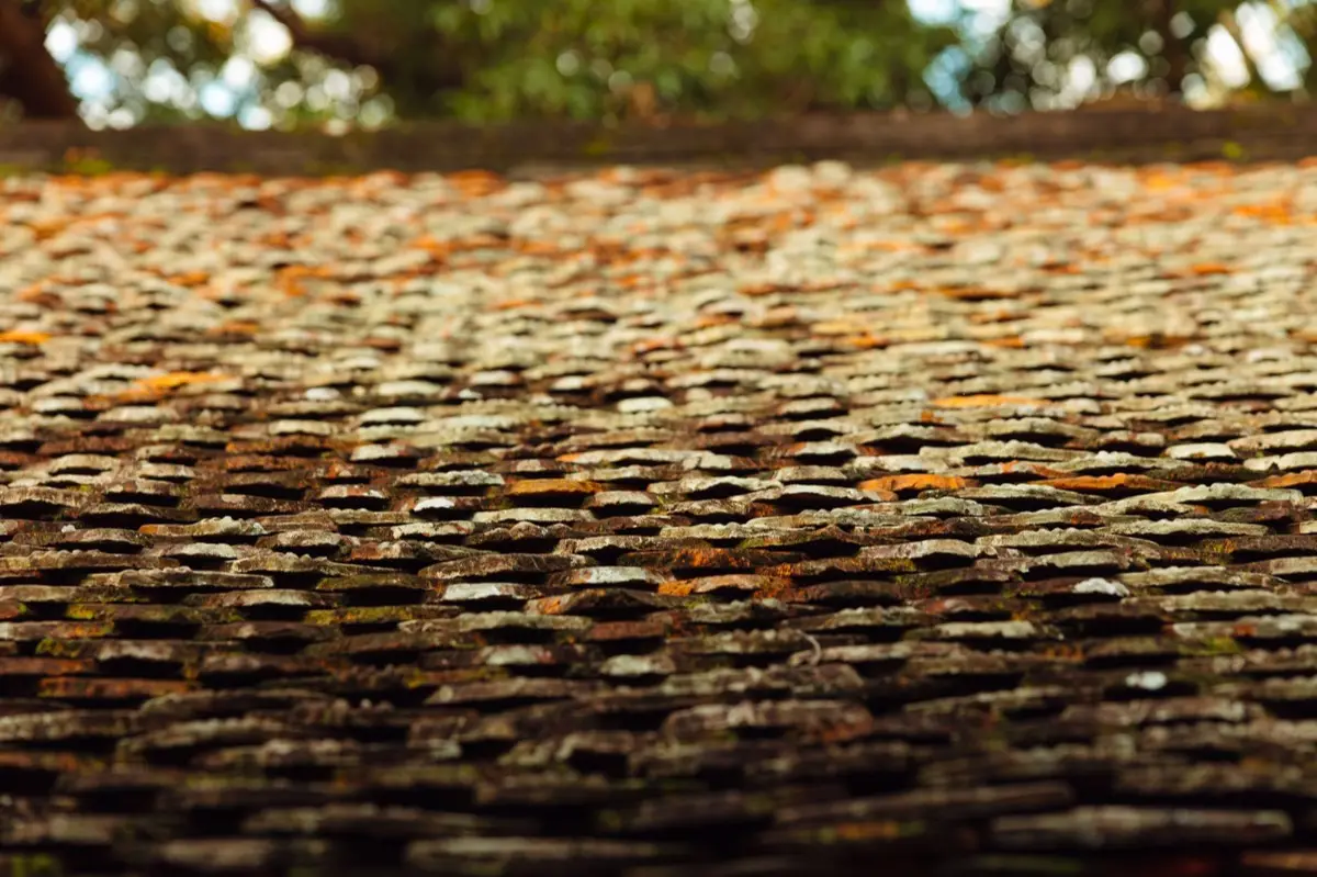 Aging shingle roof with moss growth and granule loss in Meridian, ID